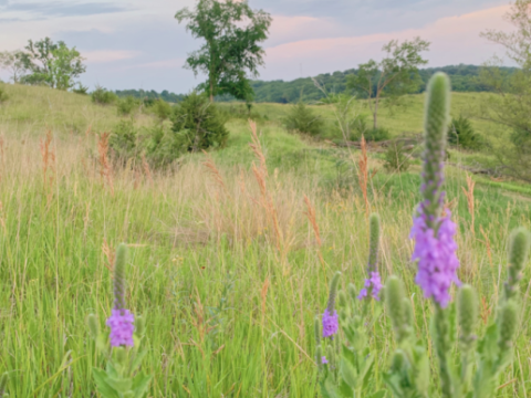 Image for Loess Hills National Scenic Byway