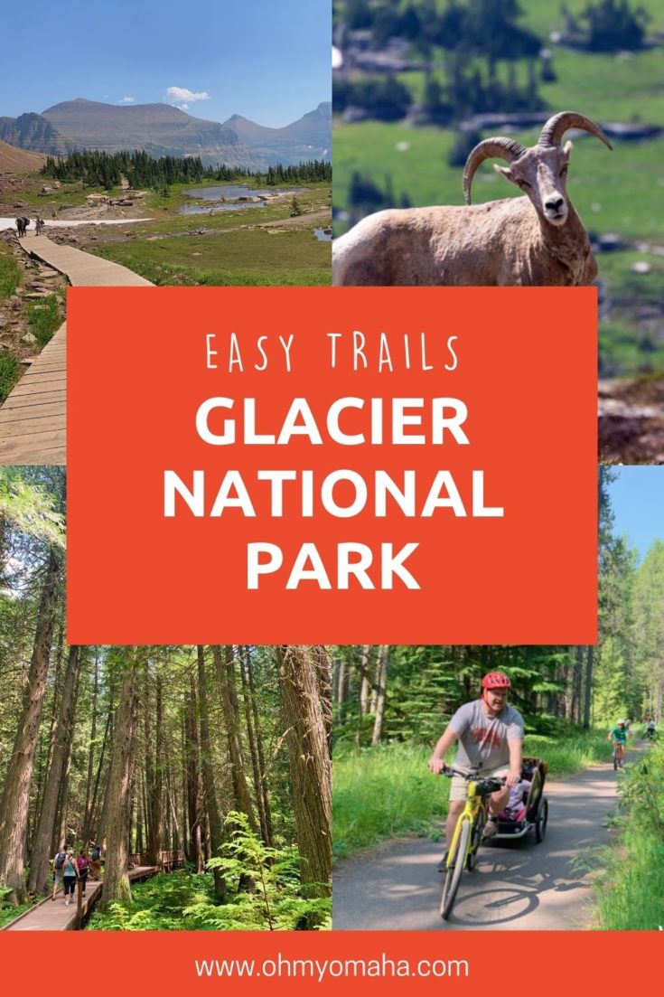 10+ easy trails for hiking and biking in Glacier National Park, plus tips on where to see wildlife like bighorn sheep and mountain goats.