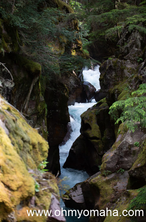 Waterfall at Trail of the Cedars