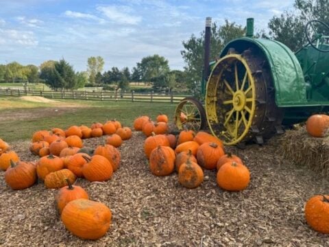 Image for Bellevue Berry & Pumpkin Ranch