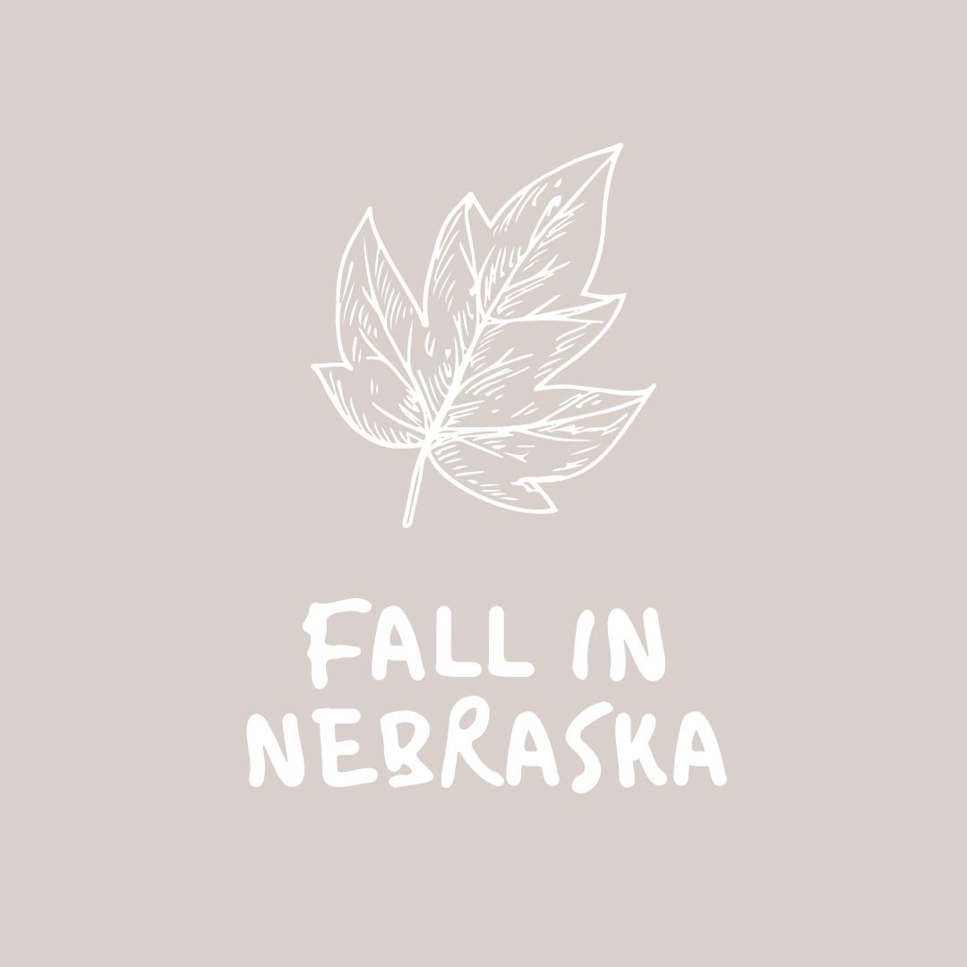 Fall in Nebraska 1