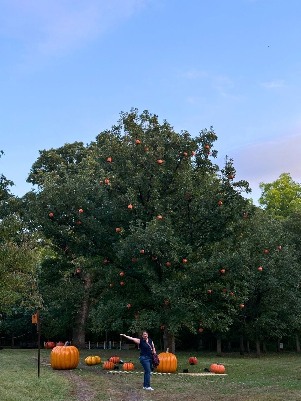 Kim standing next to a pumpkin tree in Nebraska City