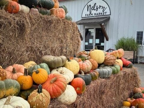Image for Nelson Produce Farm