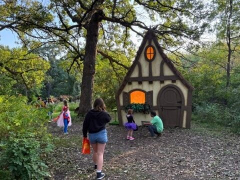 Image for Tree Adventure at Arbor Day Farm