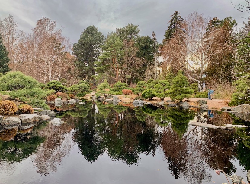 The beauty of Denver Botanical Gardens, even in the winter 