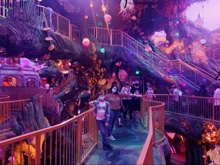 Meow Wolf Denver – A Guide To The Huge New Attraction