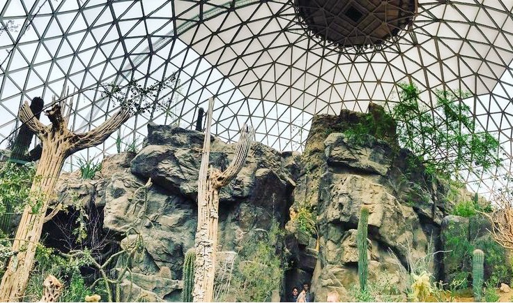 Inside the Desert Dome in Omaha, with the geodesic dome overhead