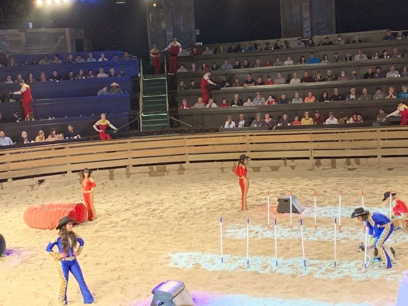The start of the dog races during Dolly Parton's Stampede Dinner Attraction