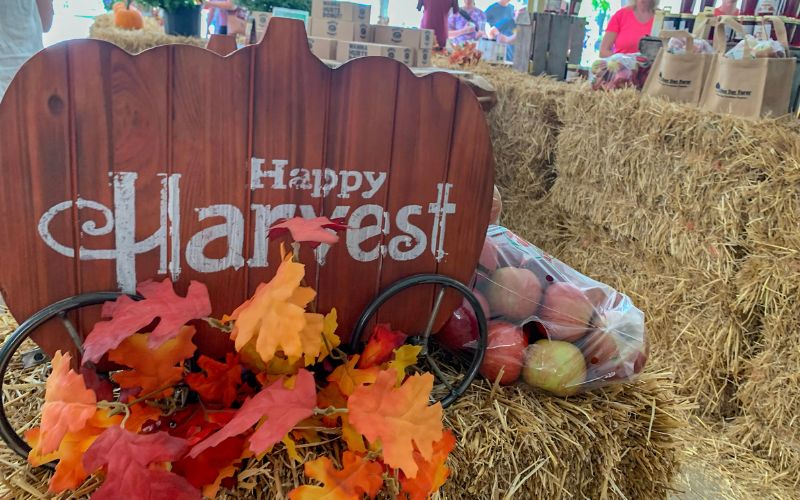 Apples and fall decor at Arbor Day Farm