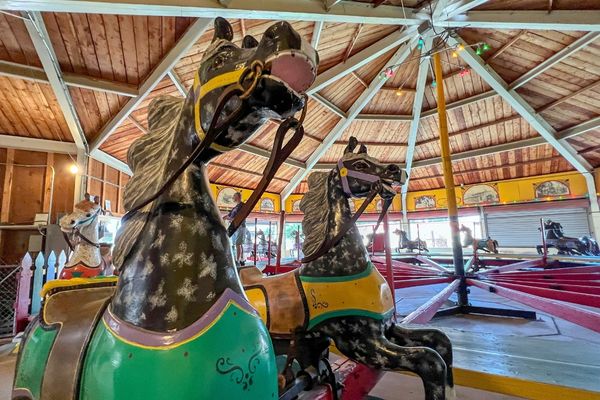 A pair of horses on the C.W. Parker Carousel in Abilene