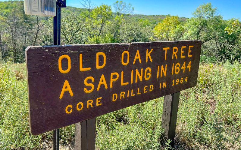 A sign for the Old Oak Tree in Ponca State Park