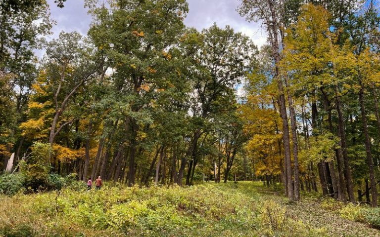 The Story Behind The Animal-Shaped Mounds In Iowa