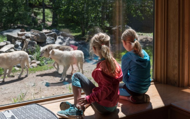 Two girls at International Wolf Center in Ely, Minnesota
