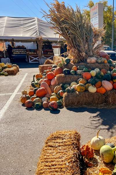 Piles of gourds and pumpkins in the fall at a Nelson Produce Farm Stand