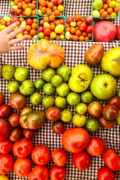 A kid's hand reaching for a pint of colorful tomatoes at the Aksarben Farmers Market in Omaha