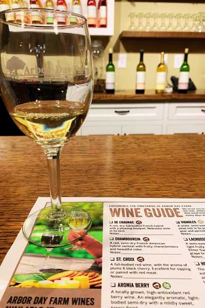 A glass of white wine with an Arbor Day Farm wine guide beneath it