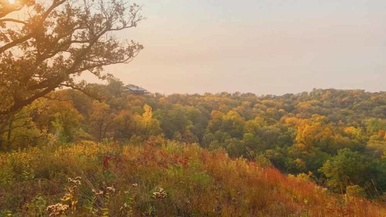 4 Great Places To See Changing Leaves Near Omaha