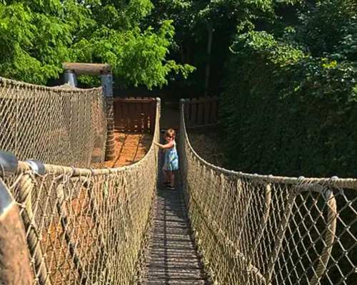 A young girl on a bridge inside the children's garden at Missouri Botanical Garden in St. Louis