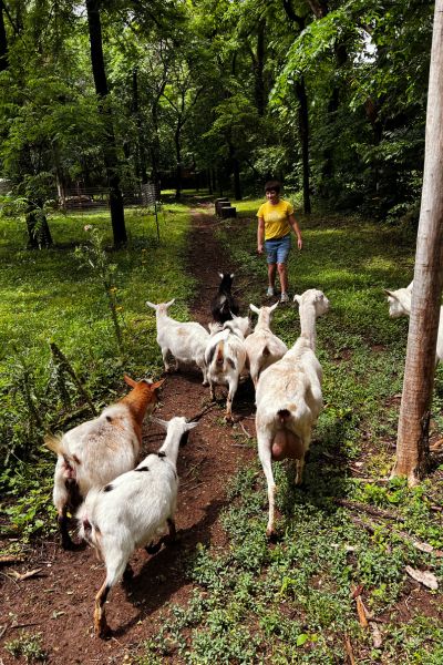 Goat Hike Atchison