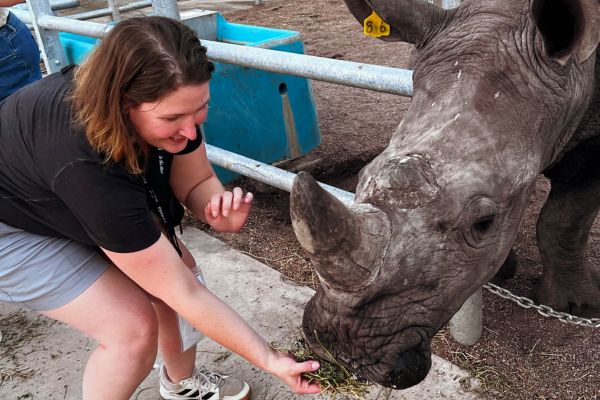 Kim feeding Dwight the Rhino at Tanganyika Wildlife Park in Goddard, Kansas