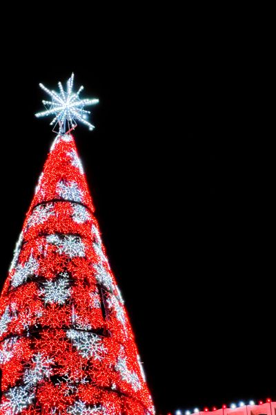The red and white Salvation Army Tree of Lights can be seen at the intersection of 90th and Dodge streets each year during the holidays