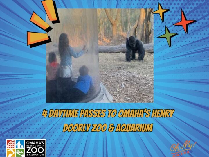 Image for **ENDED**Zoo Prize