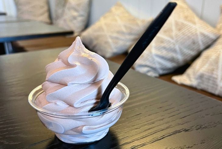 A small cup of ice cream at Cup & Cone