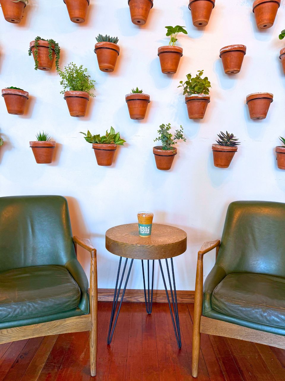 A wall of plants inside Daily Dose Coffee in Grand Island