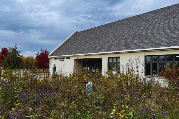 Wildflowers in front of the Visitor Center at the American Gothic House