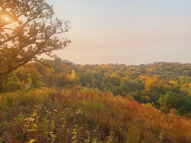 Iowa’s Fall Bucket List: 25 Must-Do Experiences