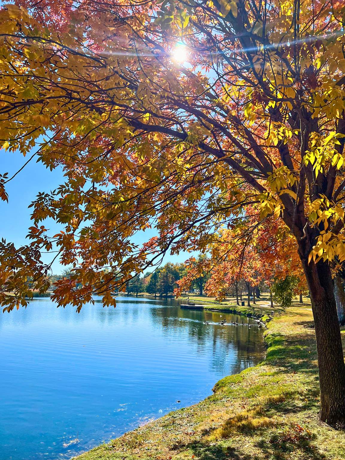 Benson-Park-Fall