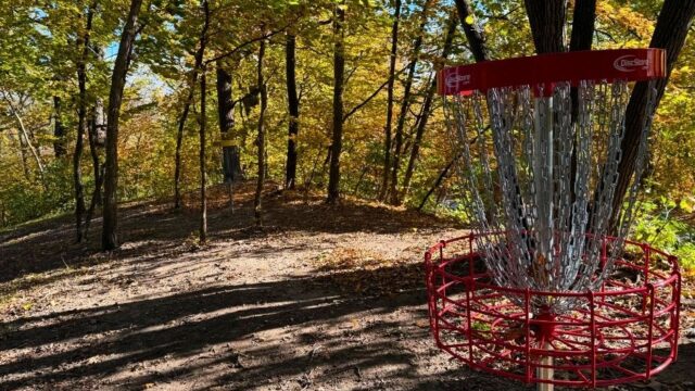 Hummel-Frisbee