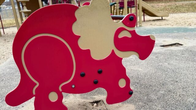 Deer-Ridge-Park4