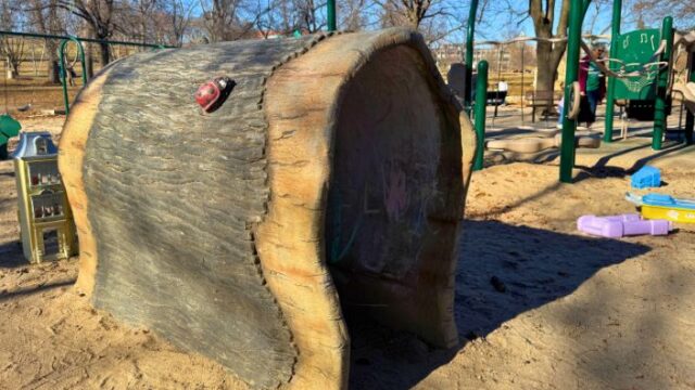 Elmwood-Park6