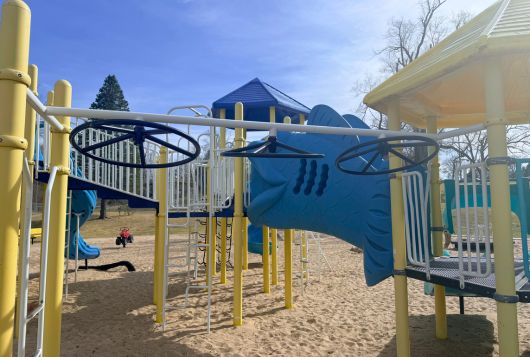 Saddle-Hills-Park2