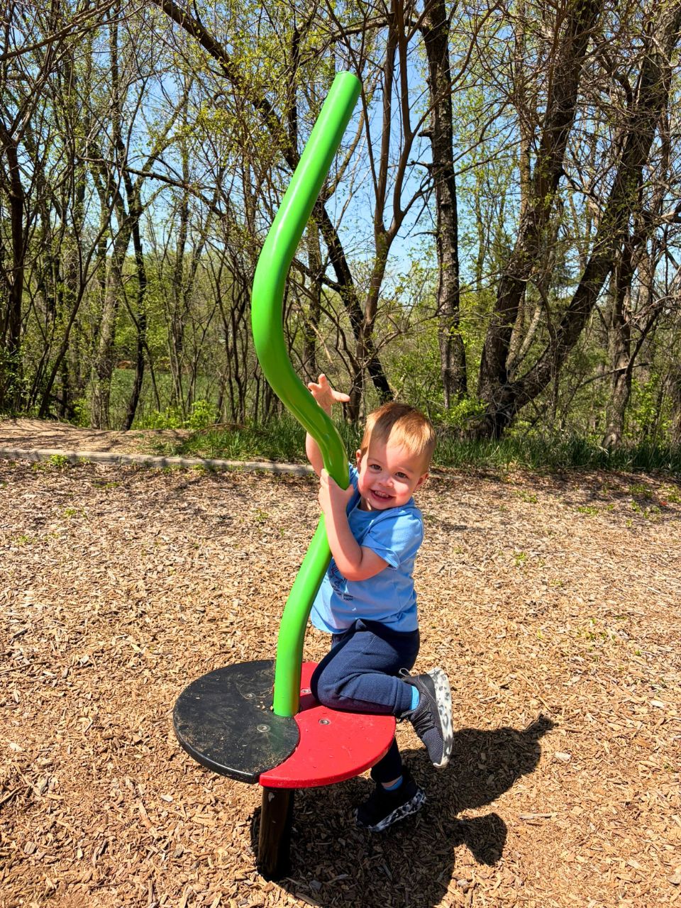 Swanson-Park2