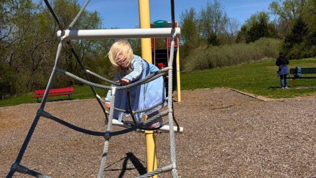 Swanson-Park3