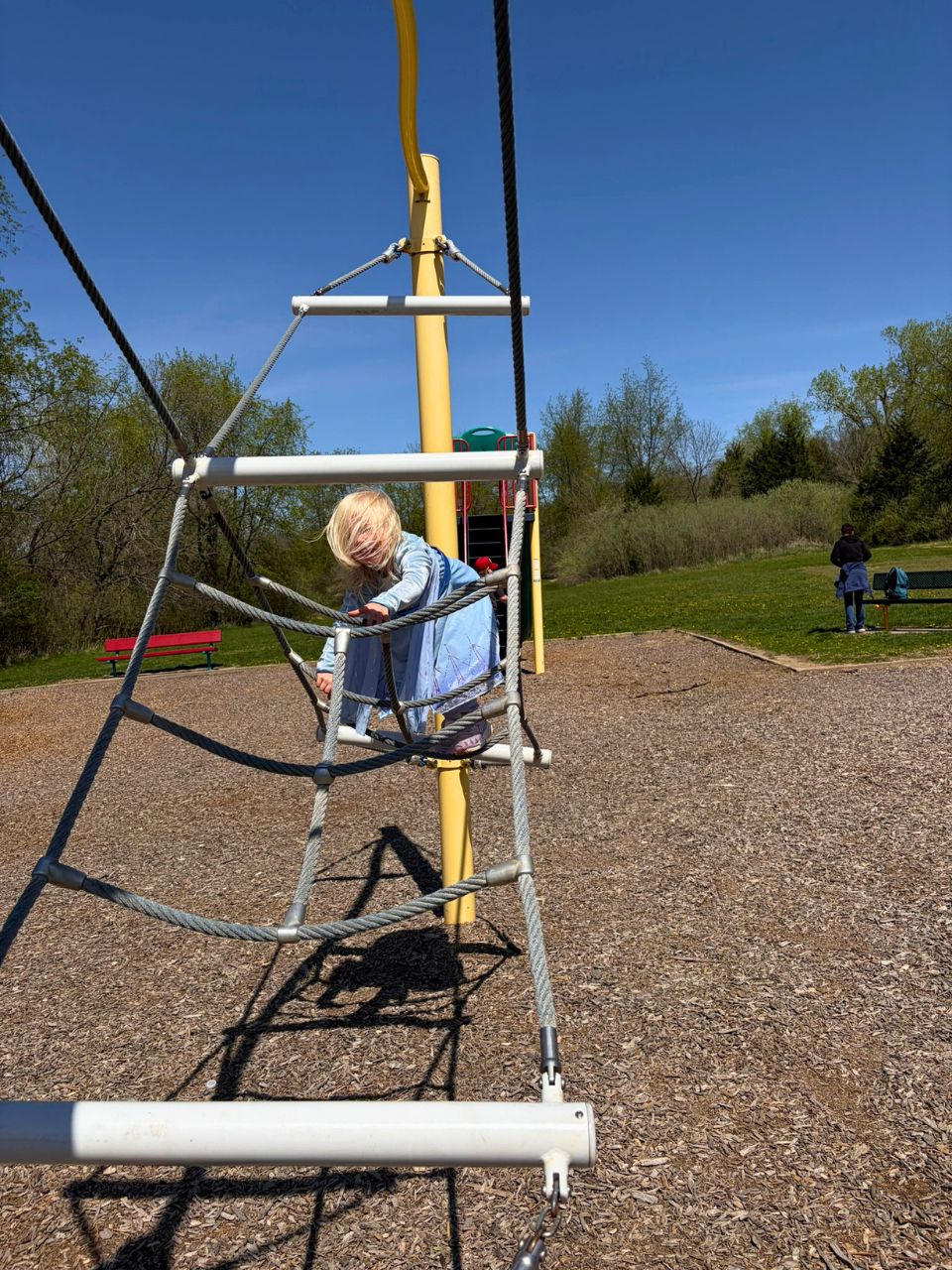 Swanson-Park3
