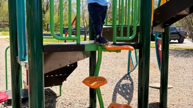 Swanson-Park4