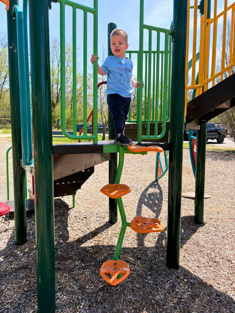 Swanson-Park4