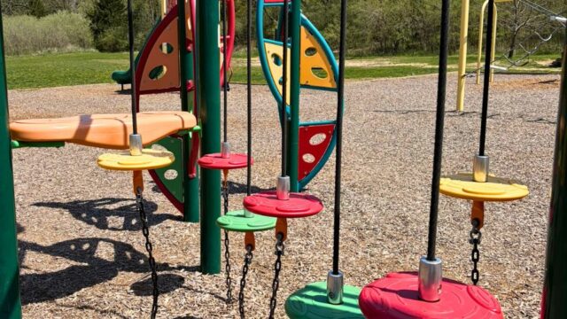 Swanson-Park6