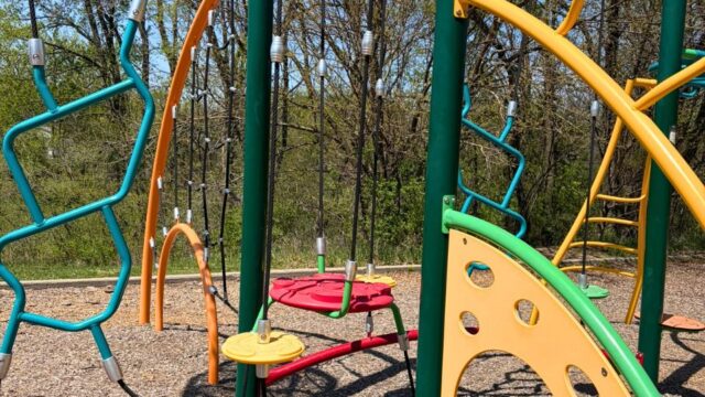 Swanson-Park8