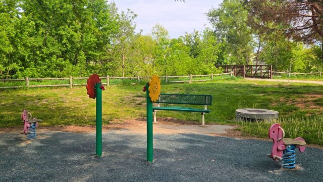 Brookhaven-Park8
