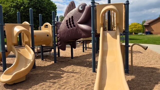 Chestnut-Ridge-Park