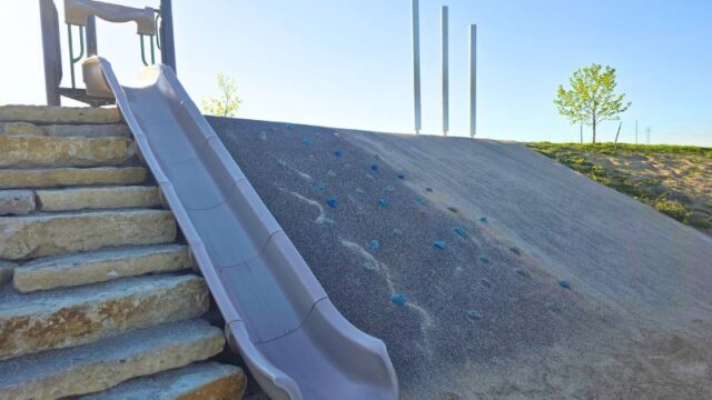 Flanagan-Inclusive-Park10