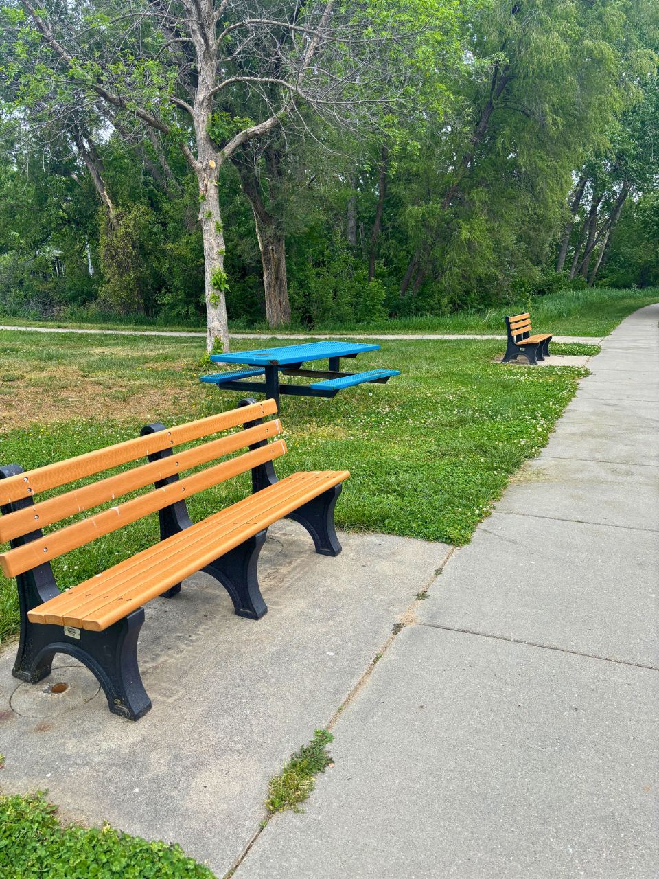 Glenwood-Hills-Park8