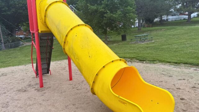 Goldenrod-Park2