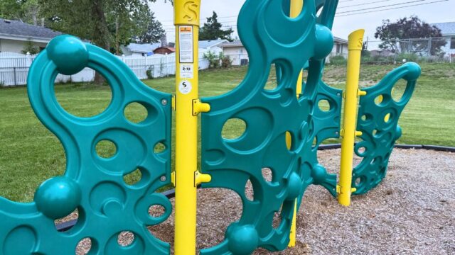 Goldenrod-Park4