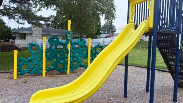 Goldenrod-Park5