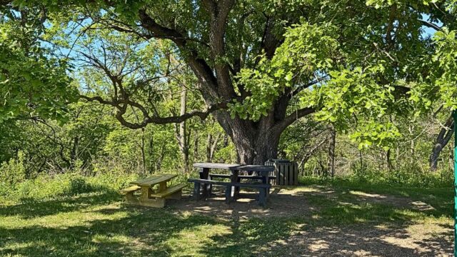 Hitchcock-Nature-Center-Playground9